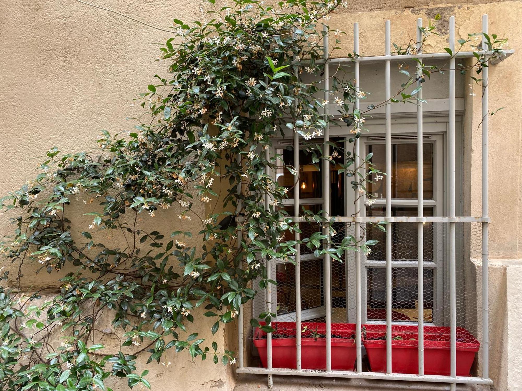 Apartmán Charmant Studio Ecusson Centre Historique Montpellier Exteriér fotografie